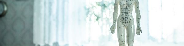 webdesign-osteopathievanrengen-oudenaarde.jpg