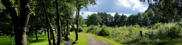 website-boeken-vakantiehuis.jpg