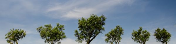 webdesign-pontoostvzw-ronse.jpg
