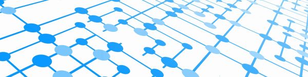 multisite vereniging websites